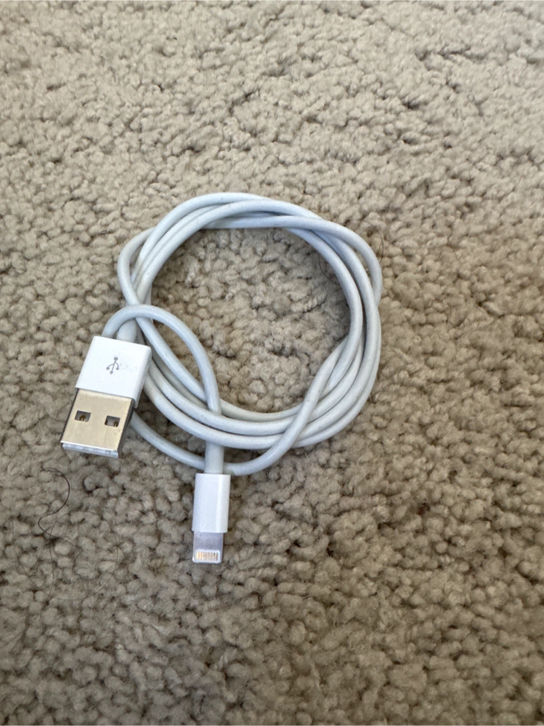 Apple Lightning to USB Cable