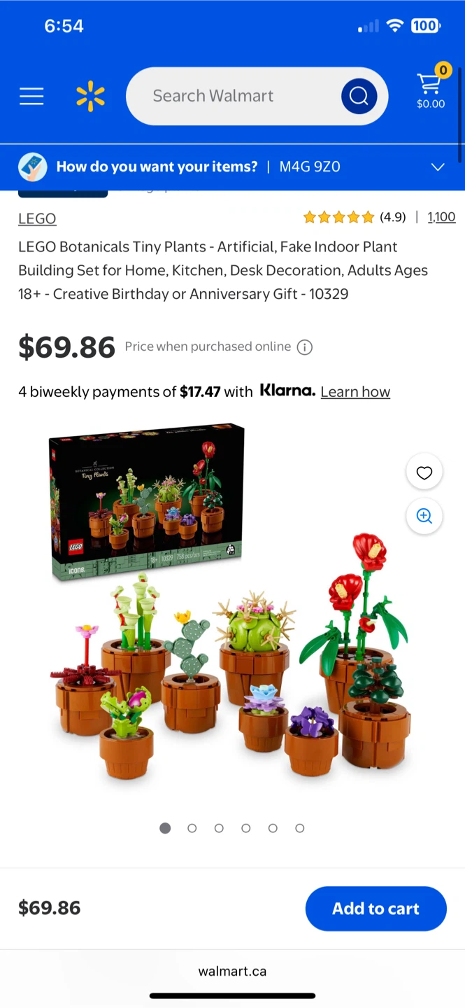 LEGO Botanicals Tiny Plants - photo 2
