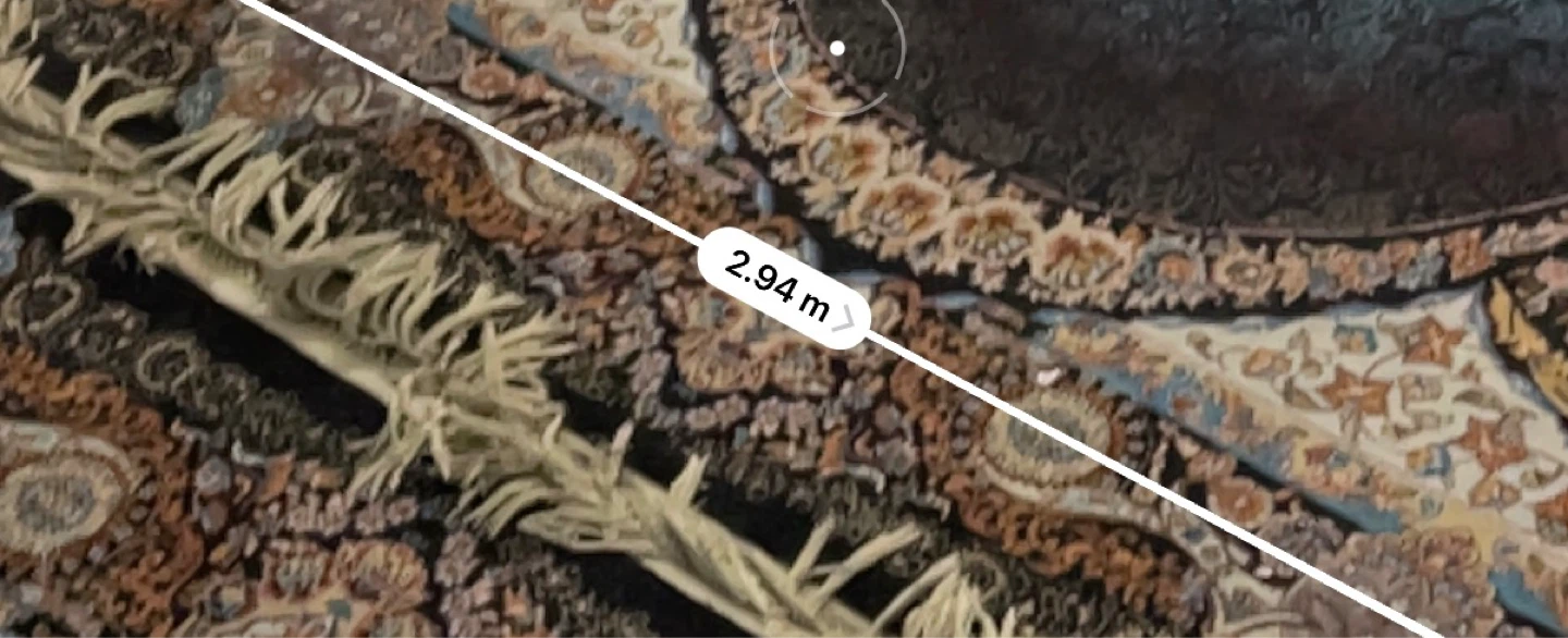 Large Oriental Area Rug - photo 4