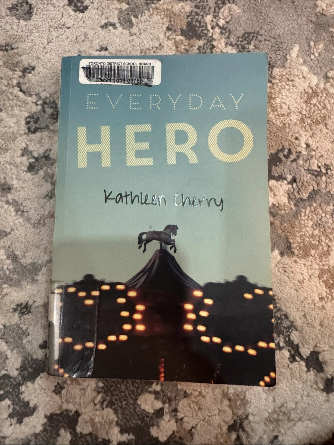 Everyday Hero by Kathleen Cherry