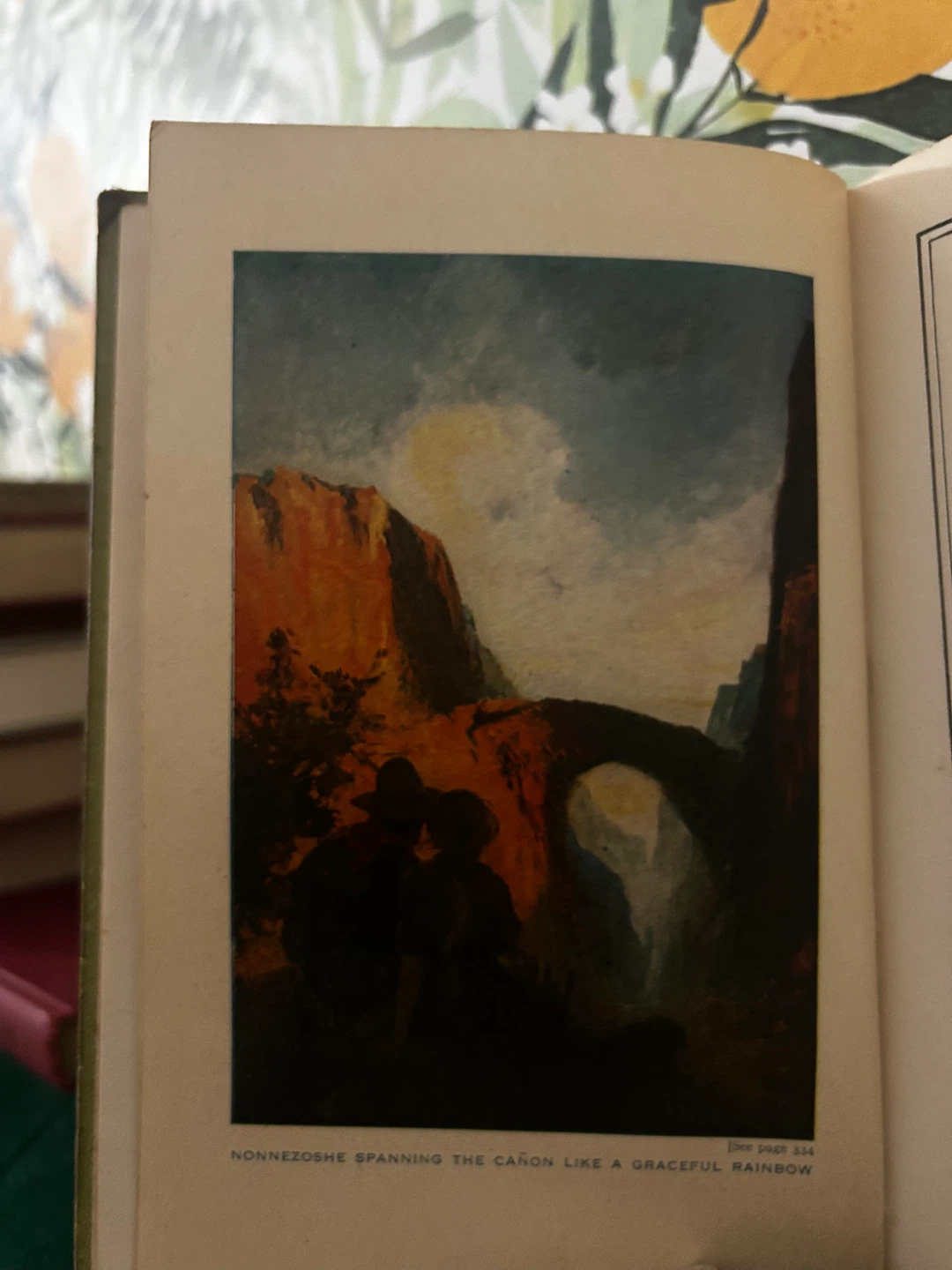 The Rainbow Trail by Zane Grey - Vintage Book - photo 3
