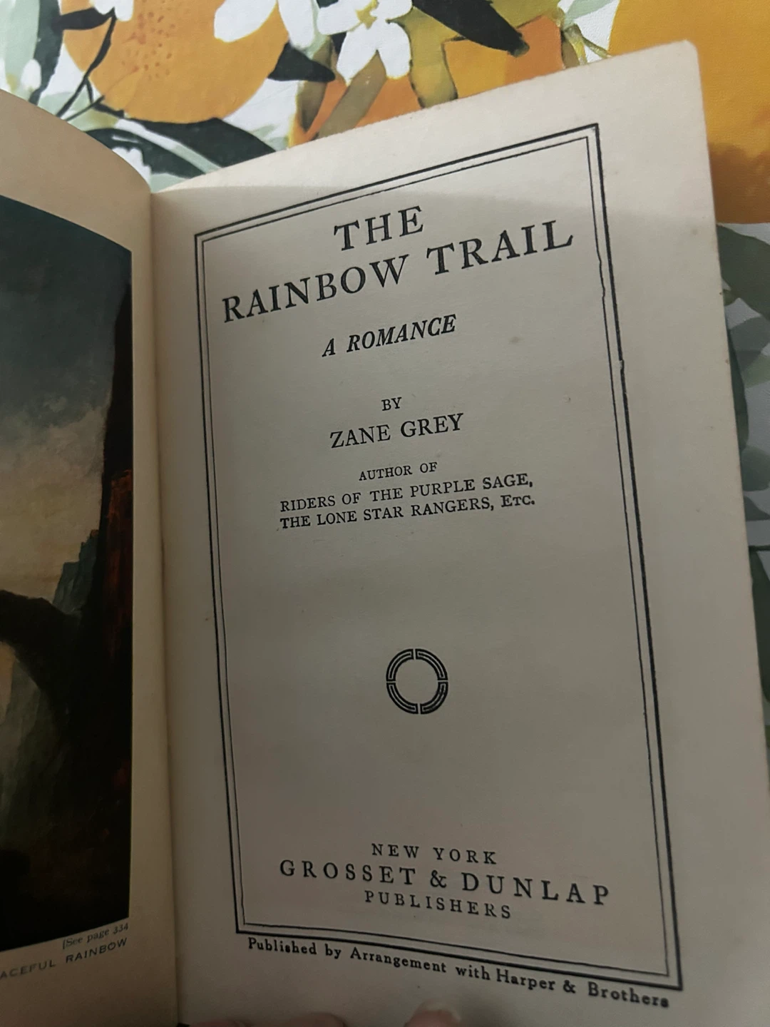 The Rainbow Trail by Zane Grey - Vintage Book - photo 4