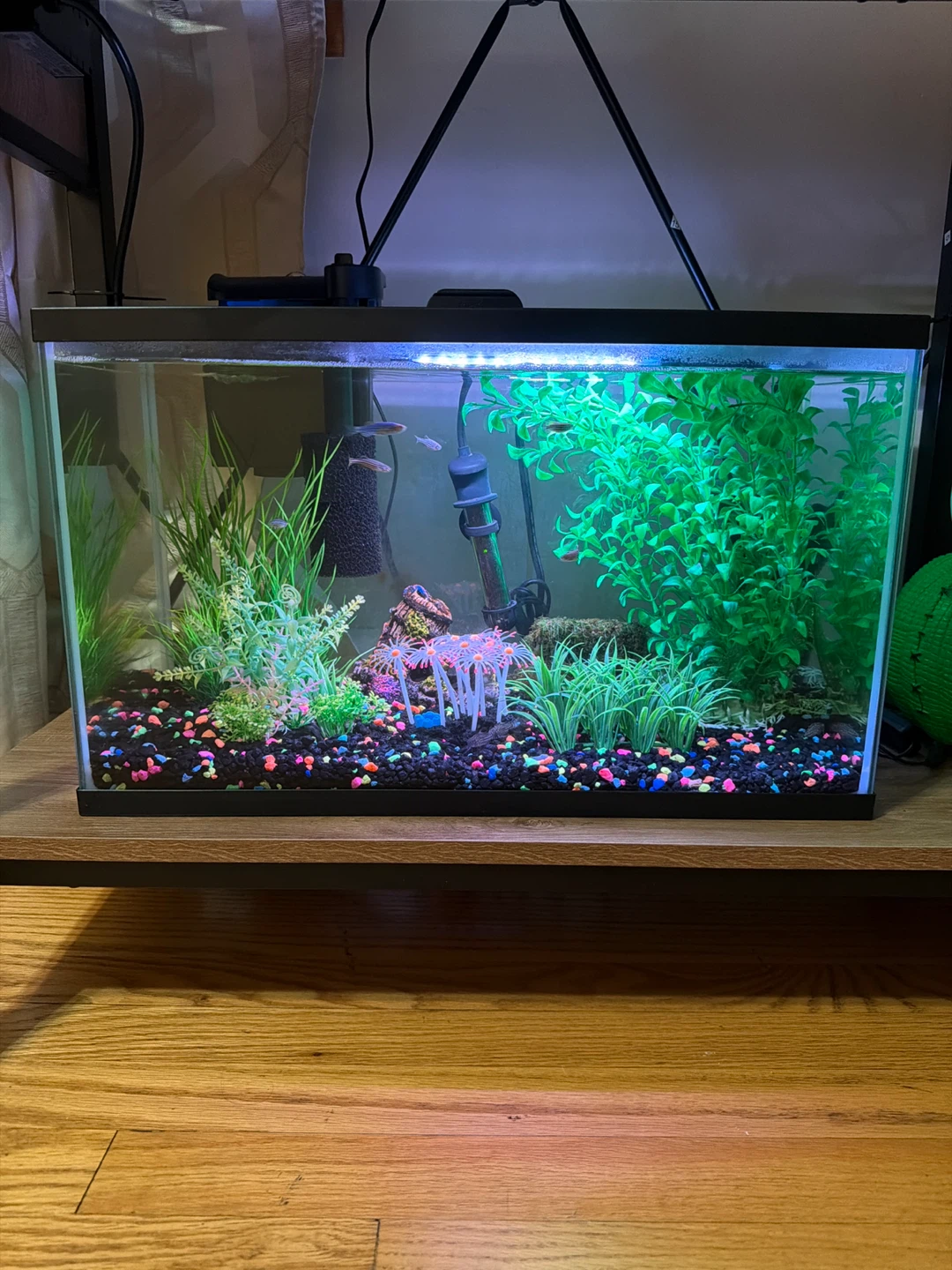 Aquarium Tank
