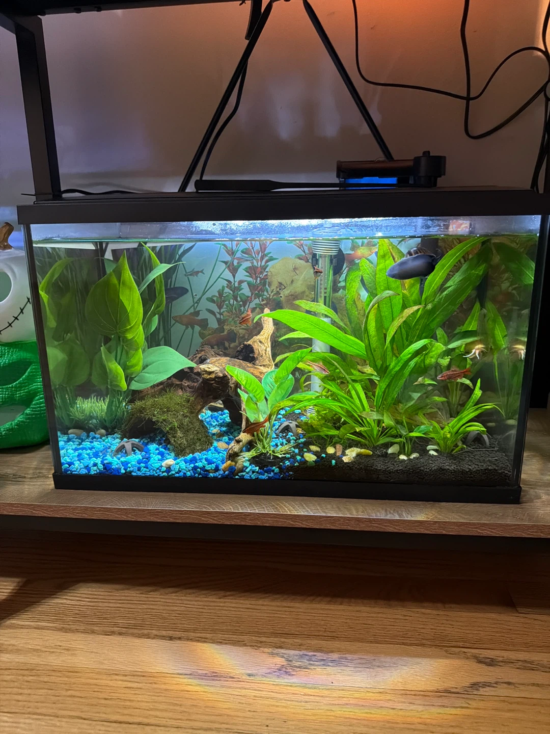 Aquarium Tank - photo 2