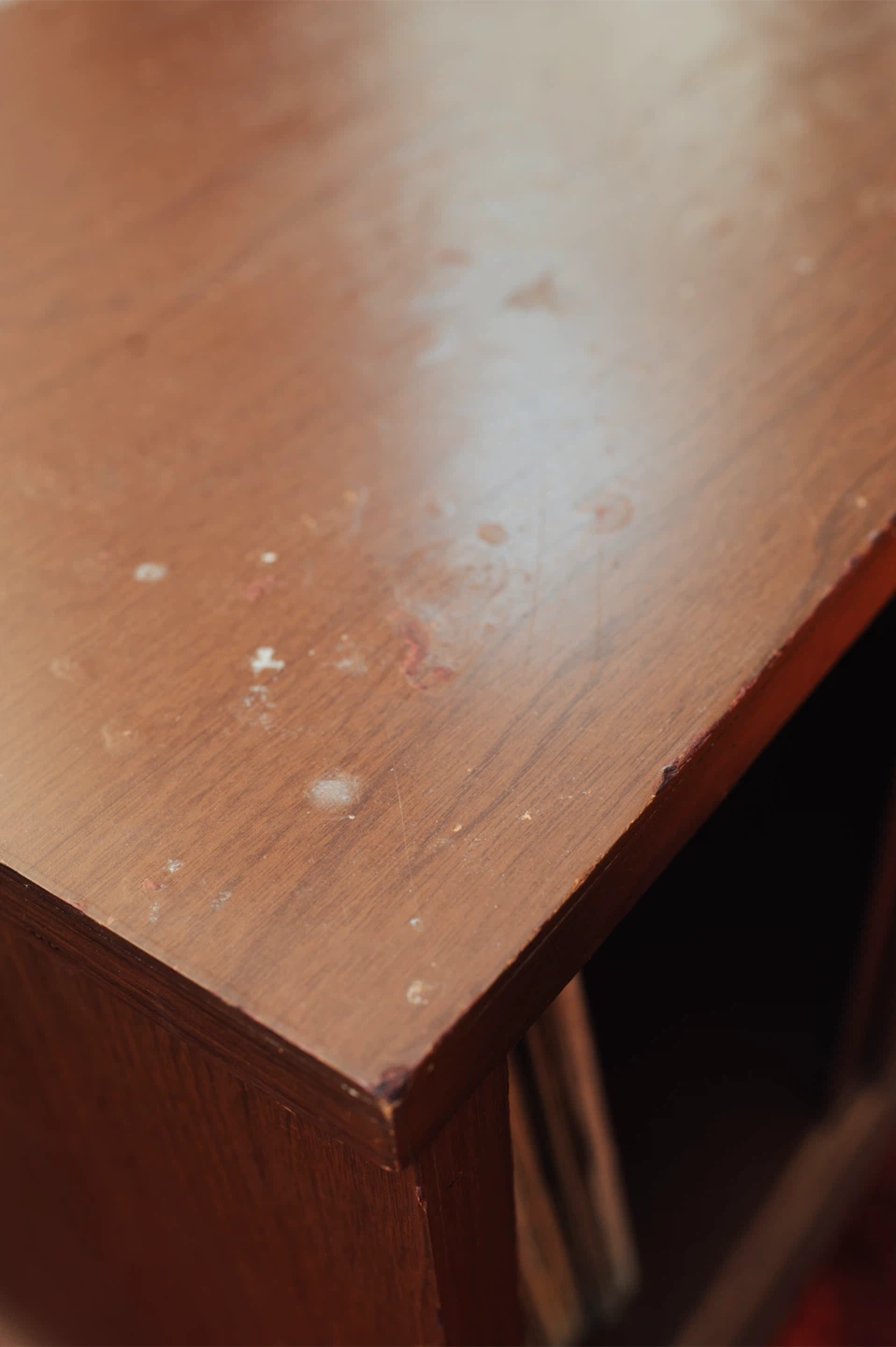 Mid-Century Record Cabinet / Petite Storage Cabinet - photo 5