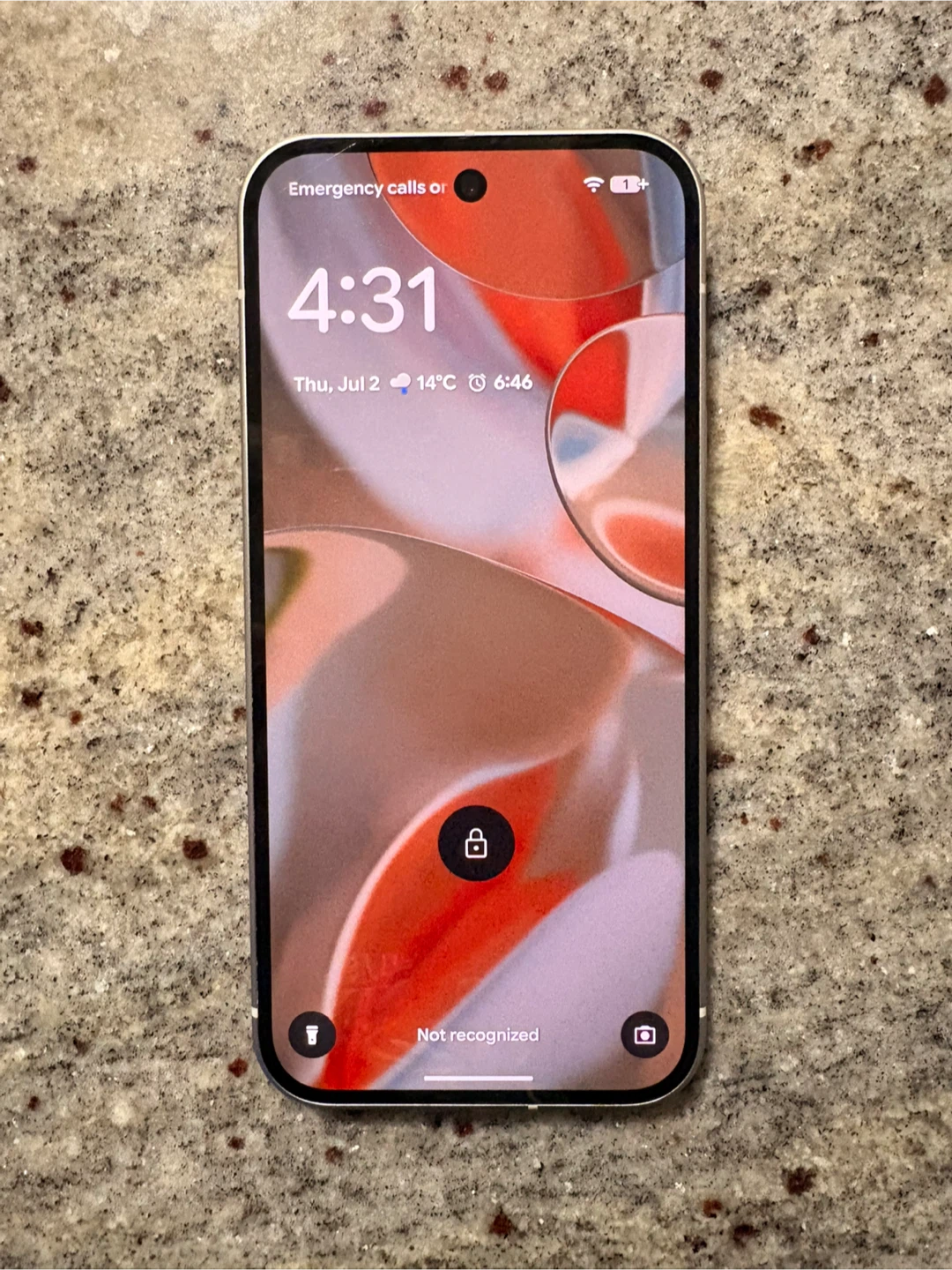 Google Pixel 9 Smartphone - photo 3
