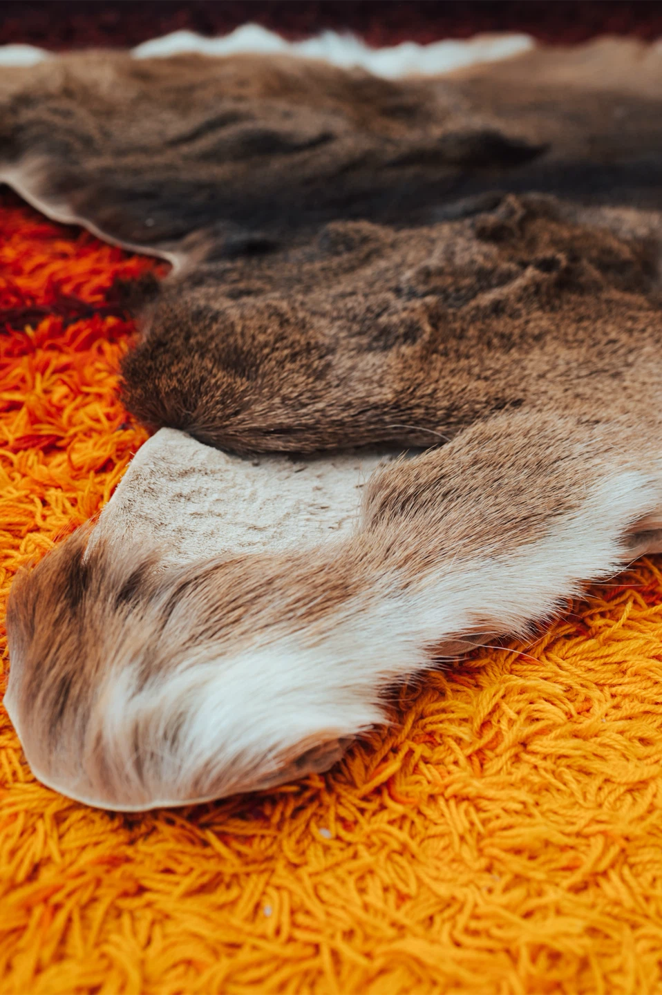 Natural Tanned Fur Hide Rug / Throw - photo 2
