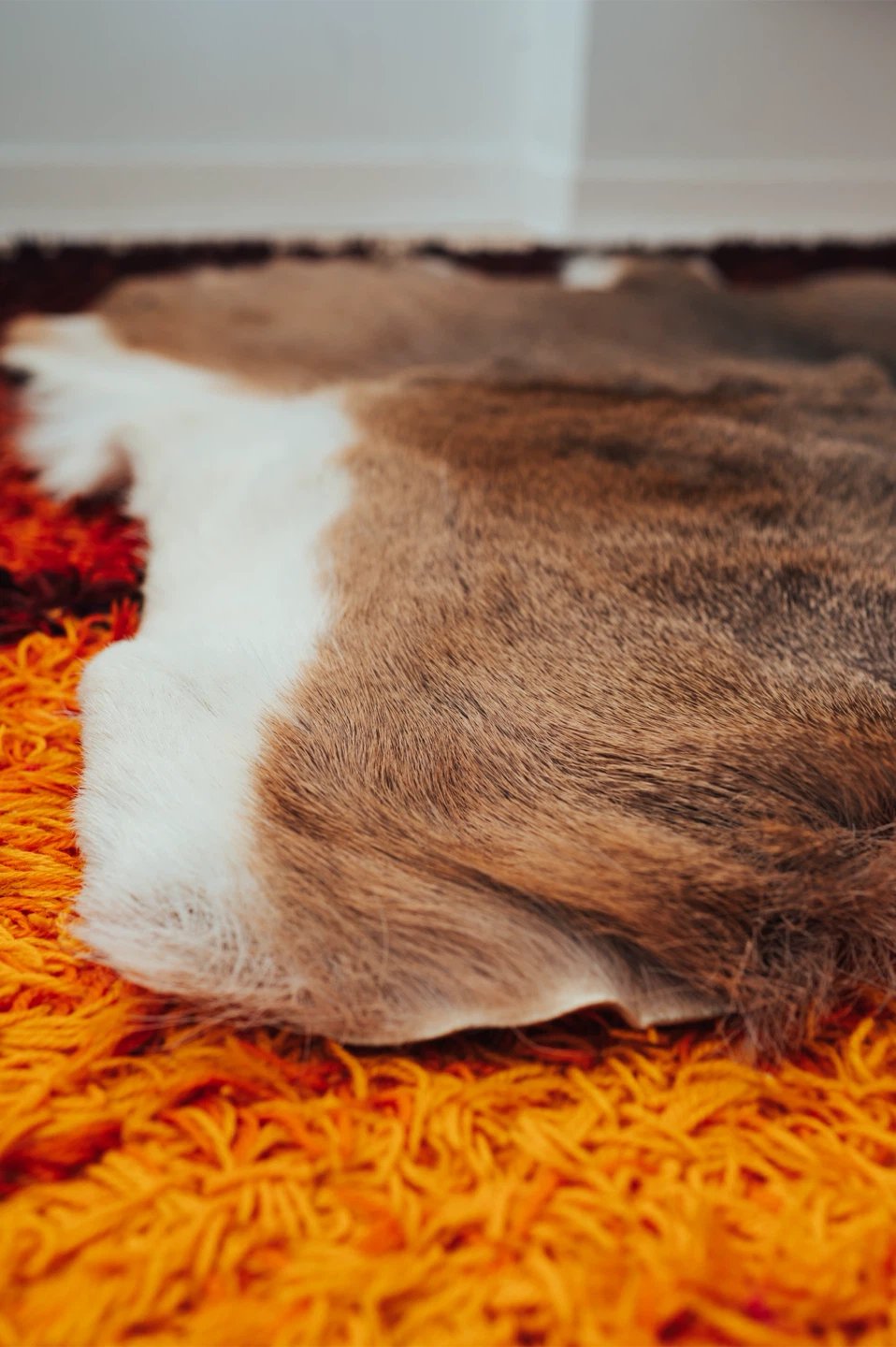 Natural Tanned Fur Hide Rug / Throw - photo 3