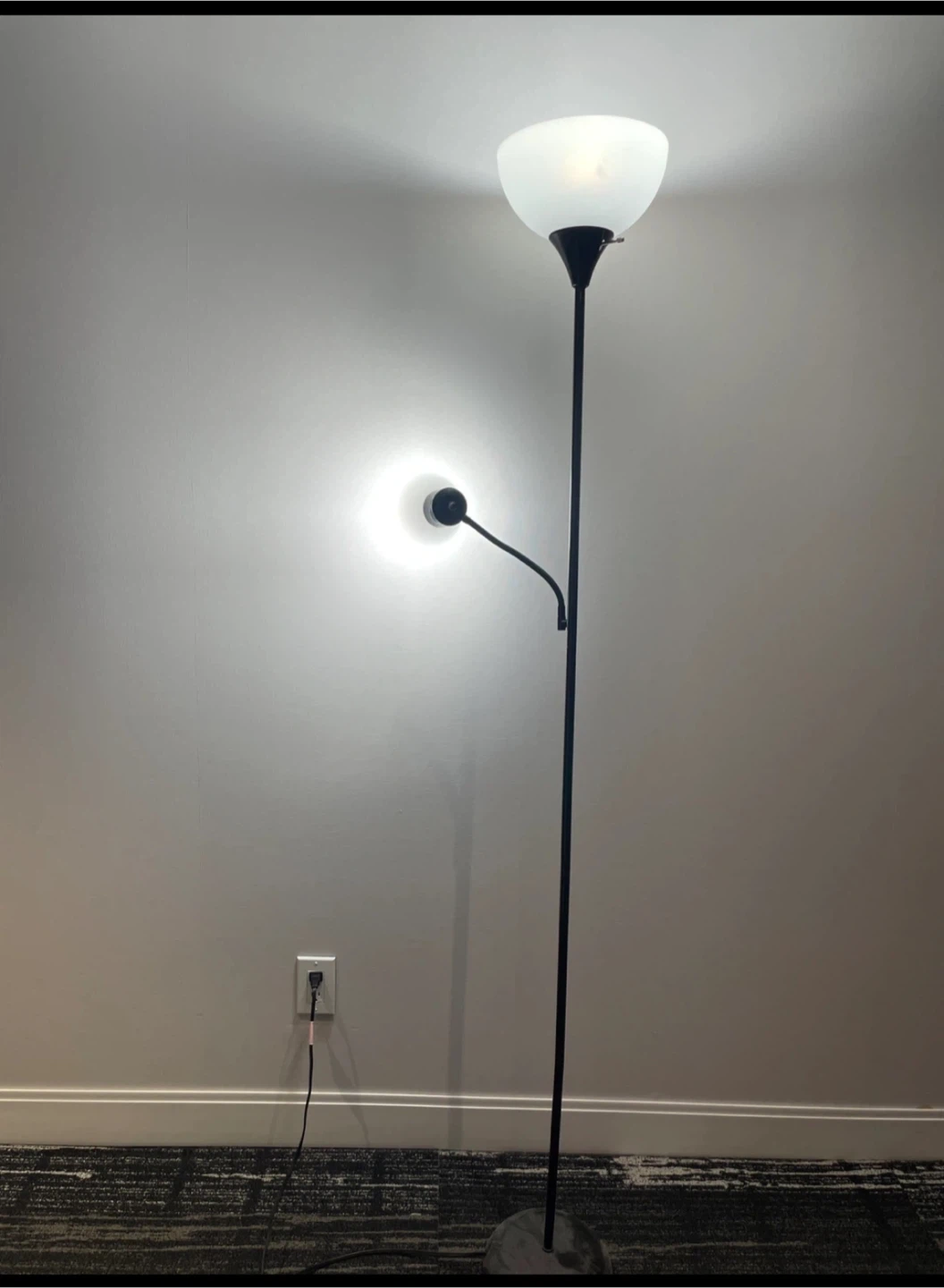 Floor Lamp and Reading Light