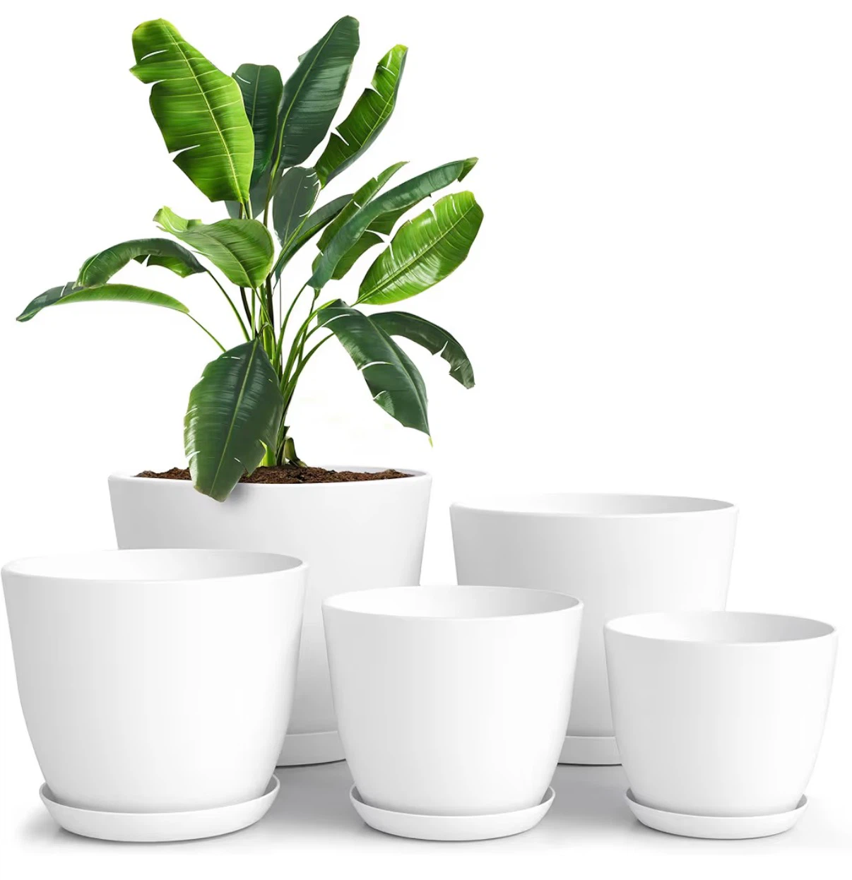 White Ceramic Plant Pots with Saucers - Set of 5
