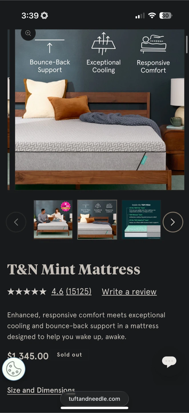 Tuft and needle queen mattress