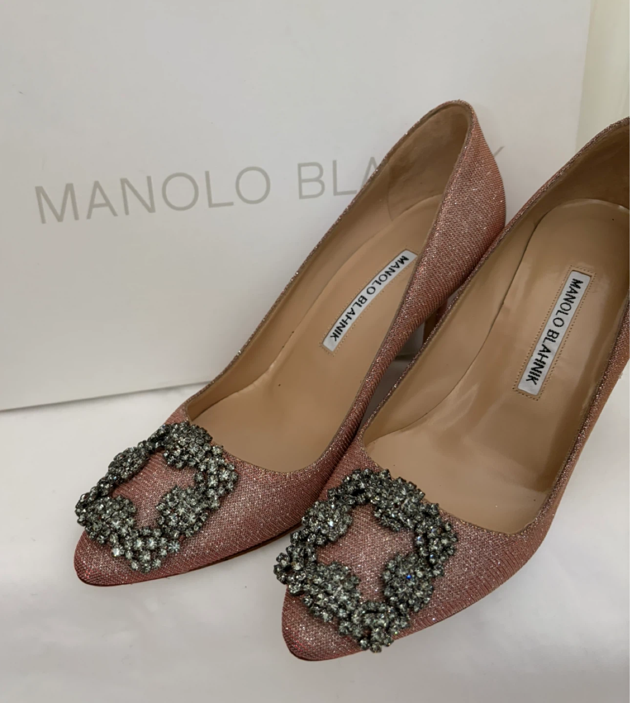 Manolo Blahnik Hangisi 90 Pumps