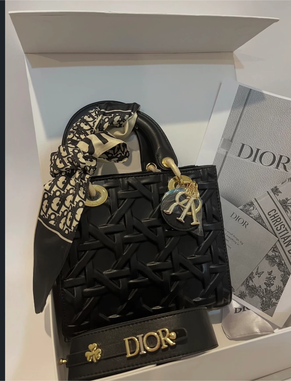 Luxury CD bag.