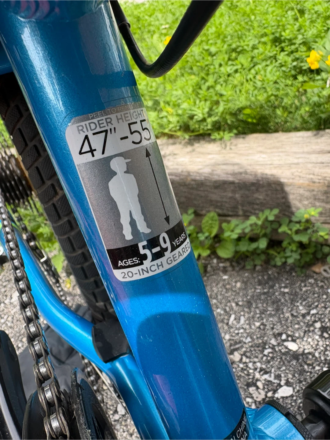 Raleigh 20-inch Geared Kids Bike - photo 3