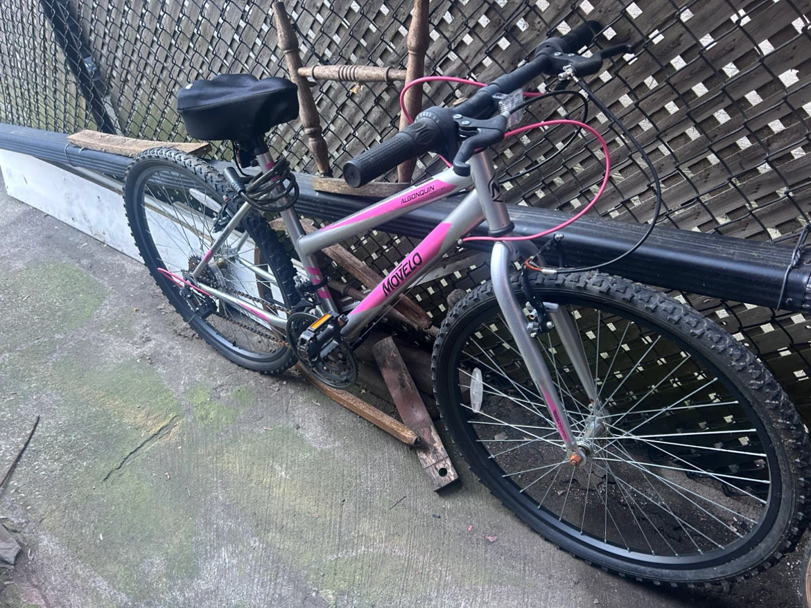 Mountain Bike & Cruiser Bicycle