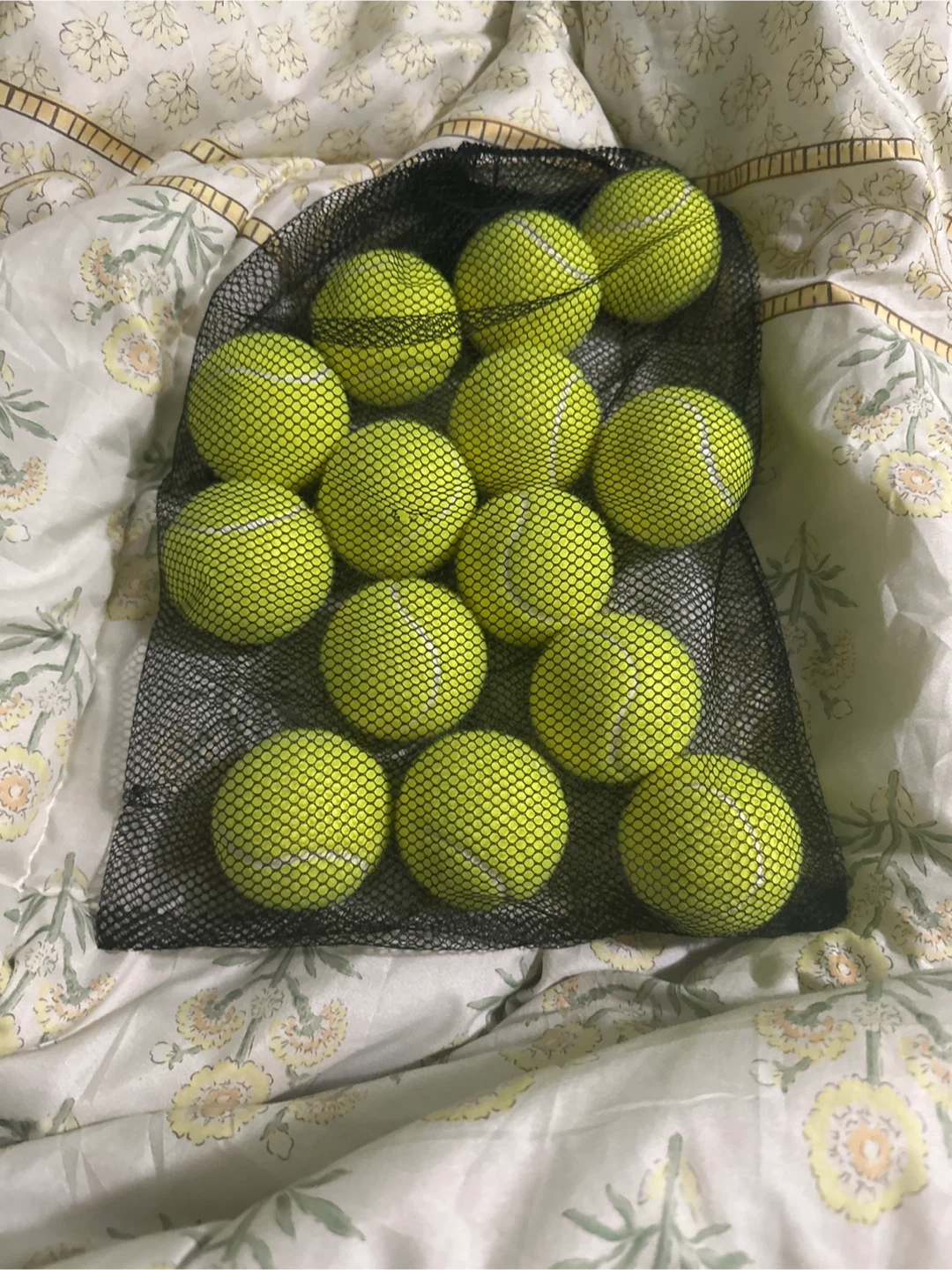 Tennis Balls - 14 Count Mesh Bag