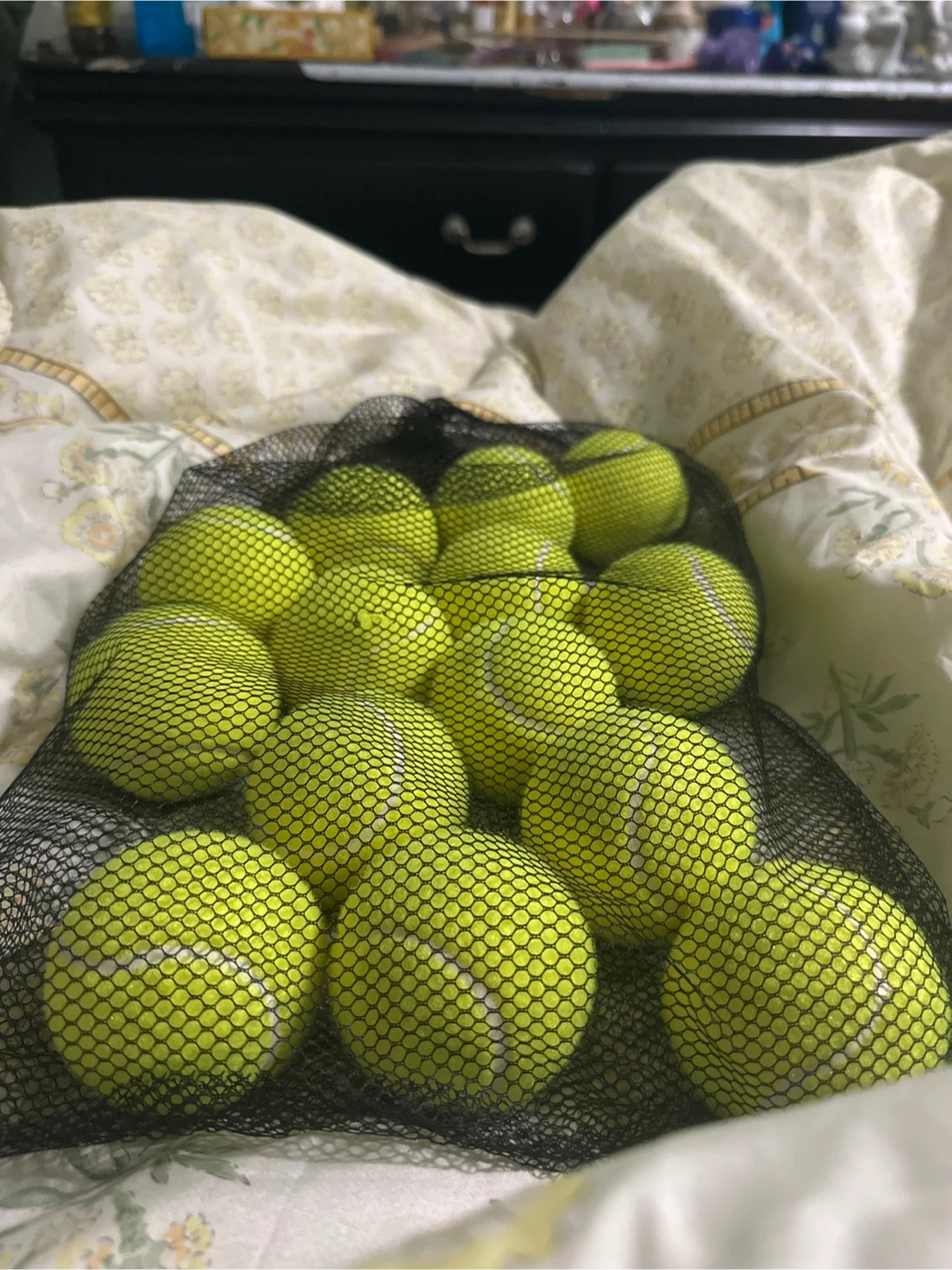 Tennis Balls - 14 Count Mesh Bag - photo 2