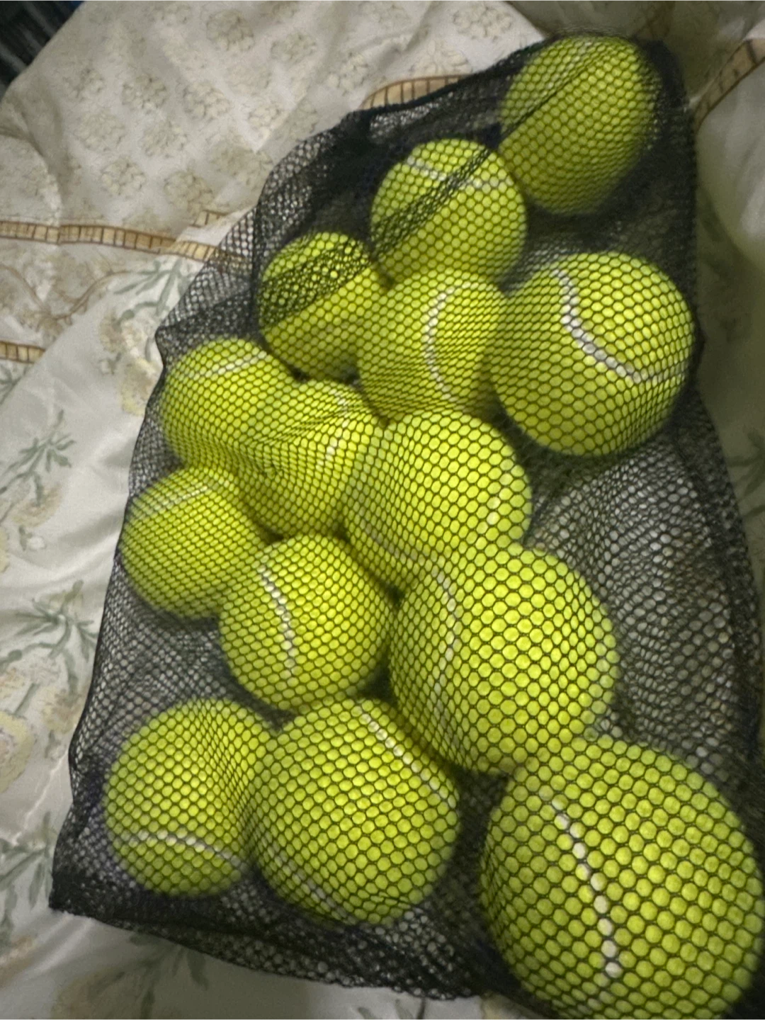 Tennis Balls - 14 Count Mesh Bag - photo 3