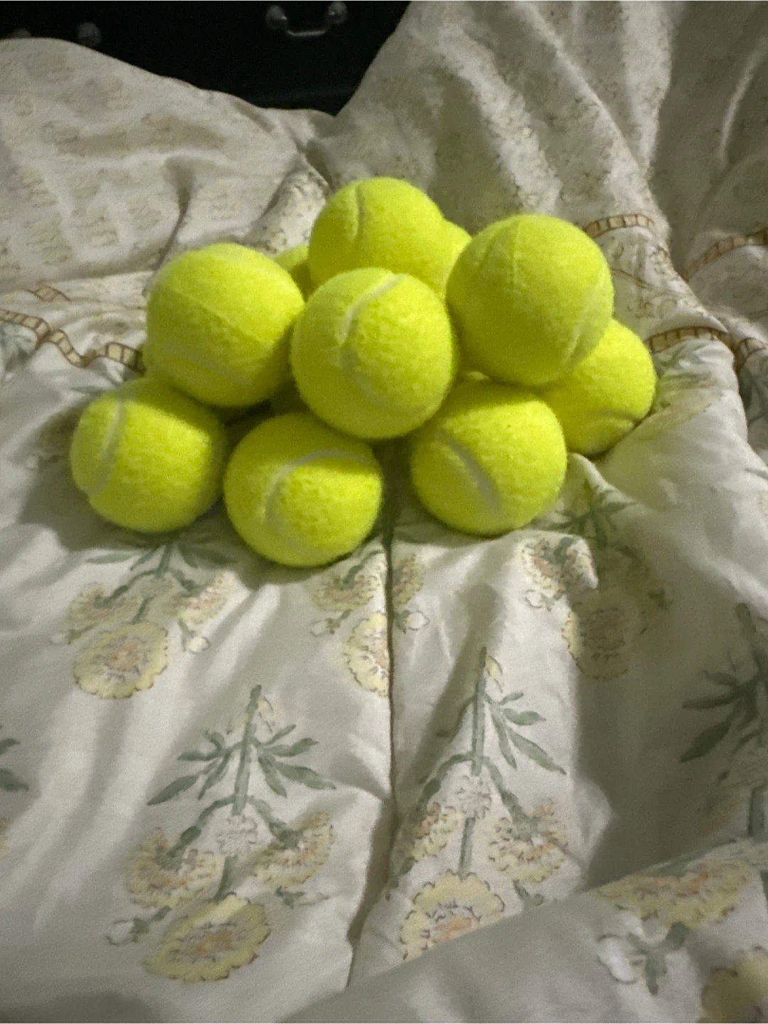 Tennis Balls - 14 Count Mesh Bag - photo 4