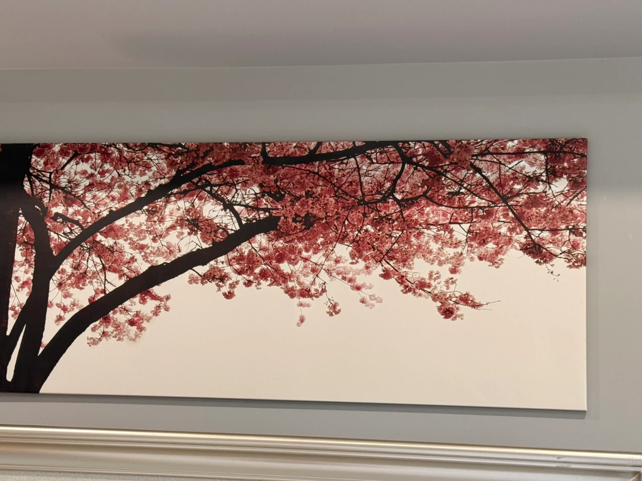 Canvas Print Wall Art - Cherry Blossom Tree