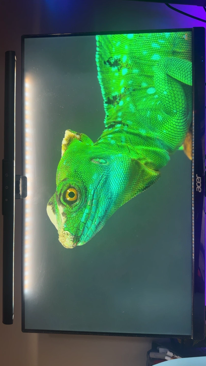Acer Monitor