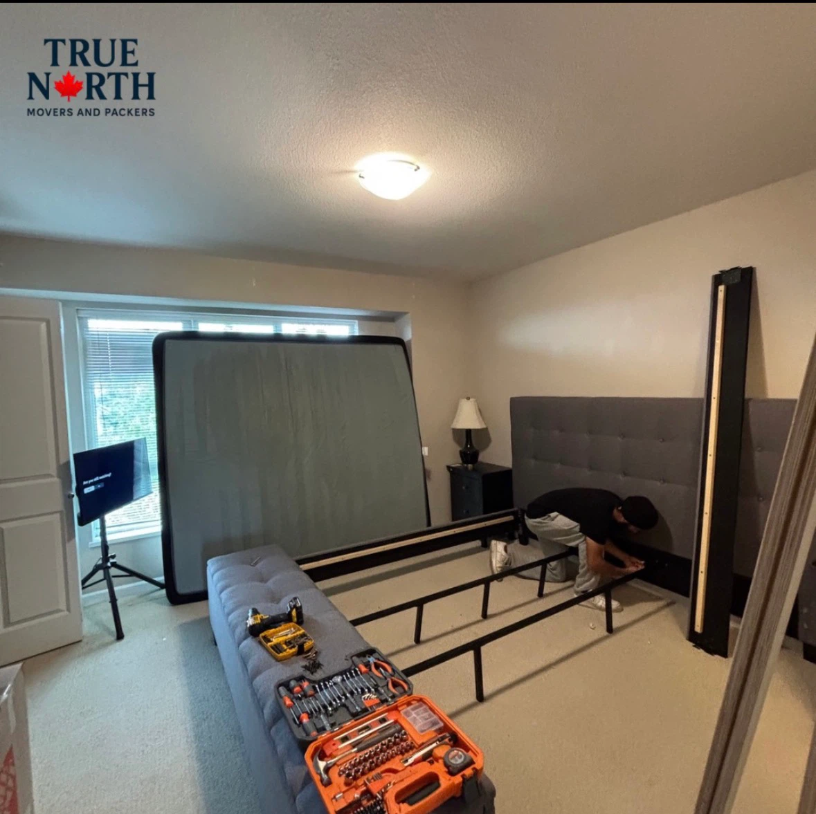 Affordable Movers - photo 2