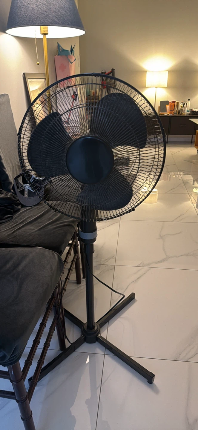 Black Standing Fan
