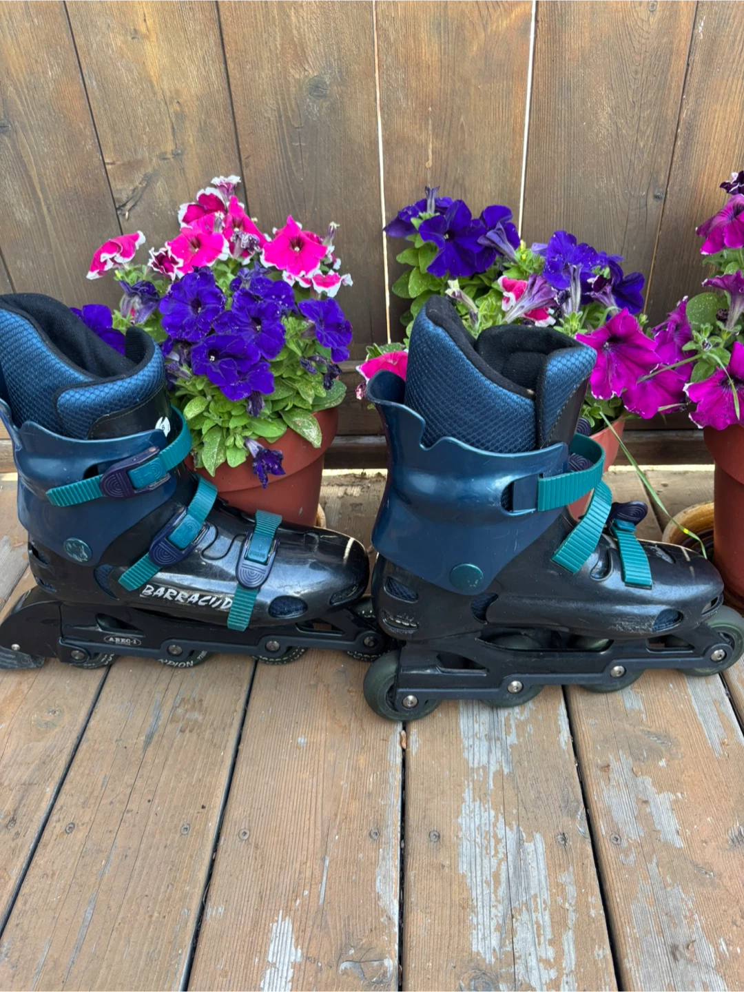 Barracuda Scorpion Inline Skates