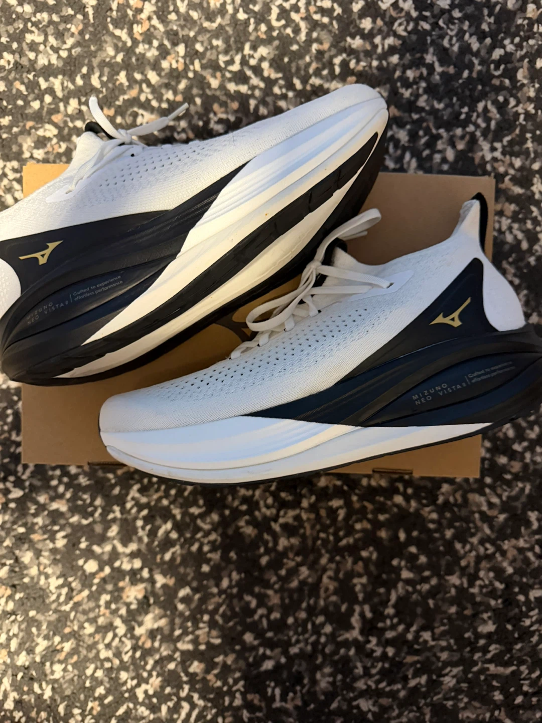 Mizuno Neo Vista 2 Running Shoes