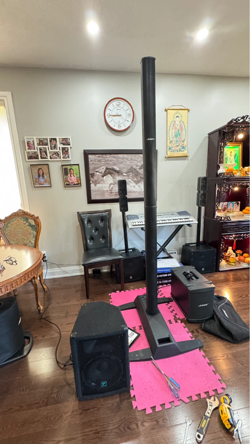 Bose L1 Portable Line Array System