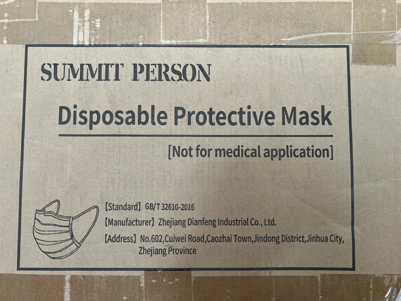 Summit Person Disposable Protective Mask (Not for Medical Use)
