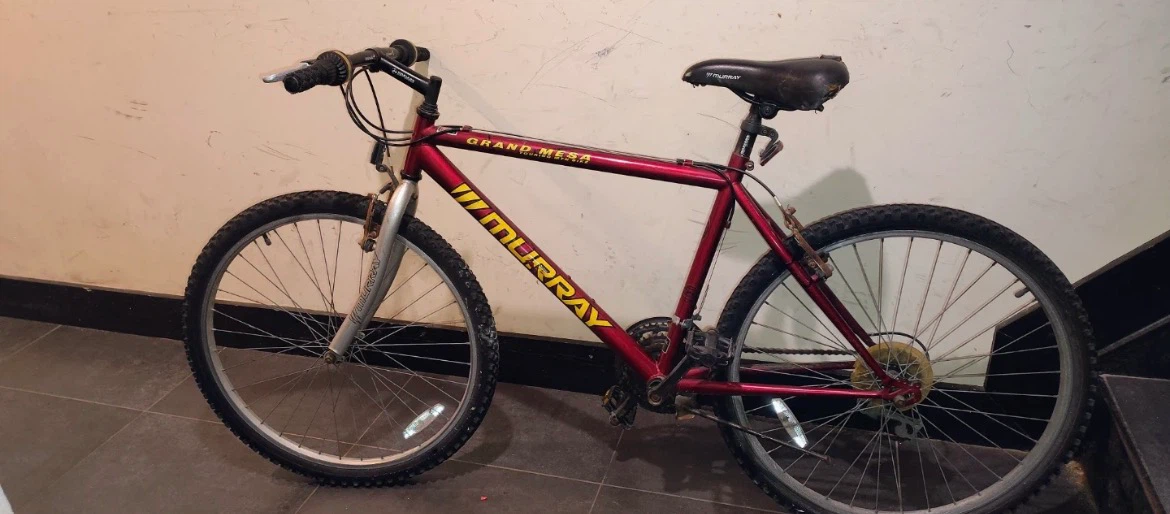 Murray Grand Bike good condition - photo 2