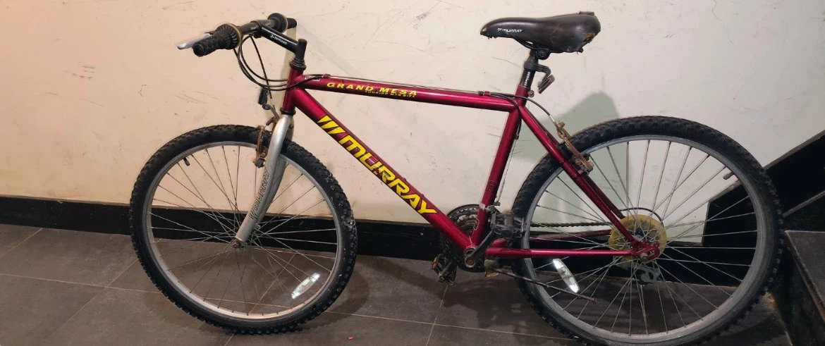 Murray Grand Bike good condition - photo 3