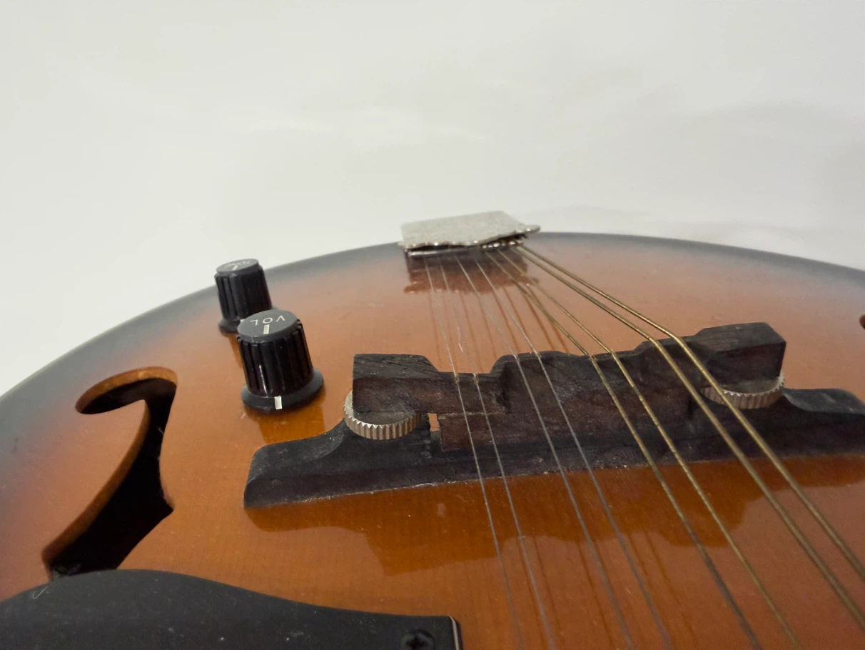 Fender FM-52E SB Acoustic/Electric Mandolin - photo 3