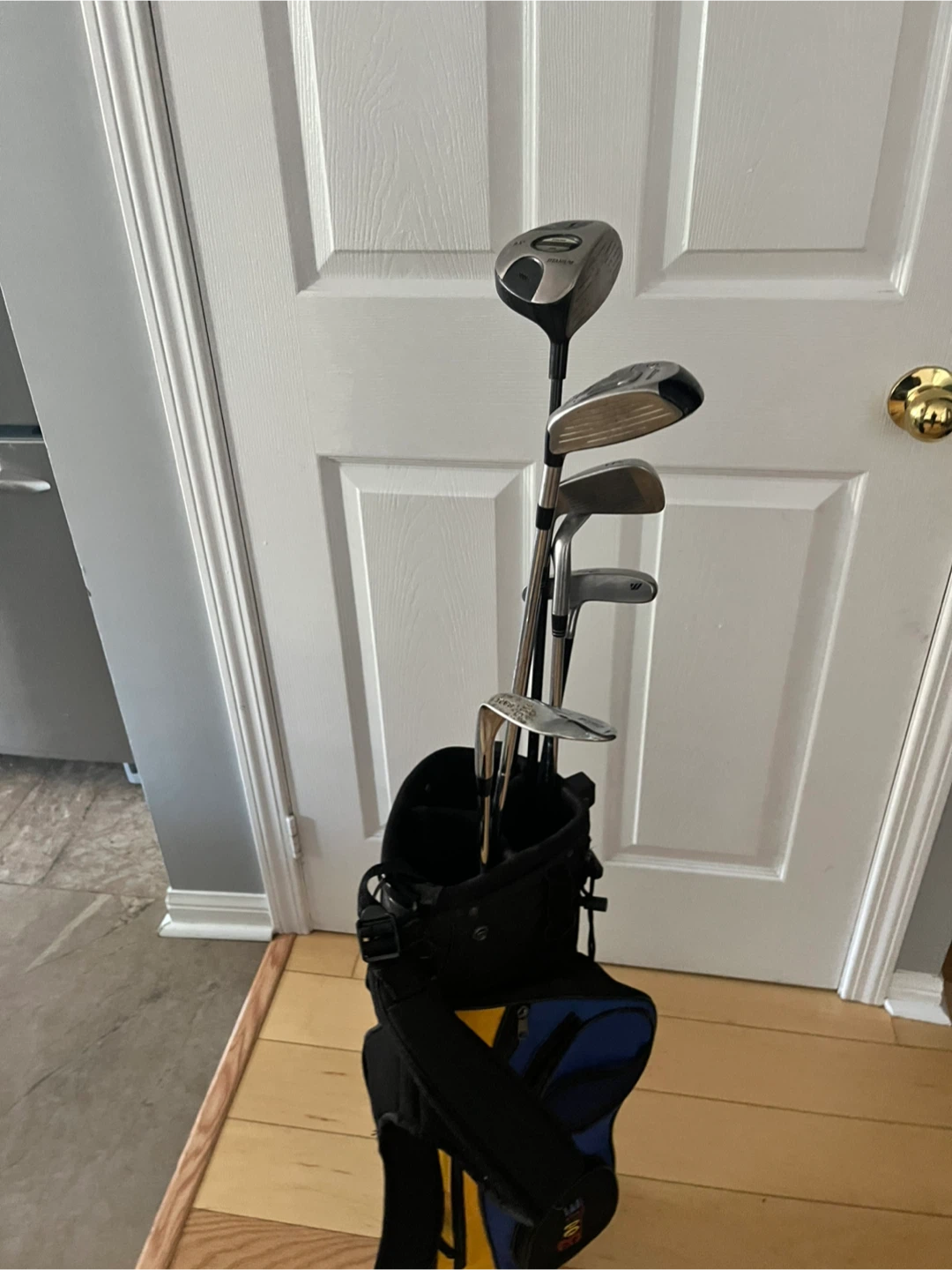 Mizuno T-ZOID Golf Club Set with Bag