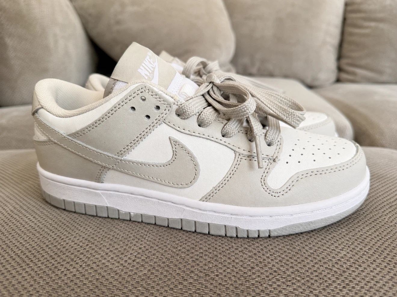 Nike Dunk Low SE Shoes