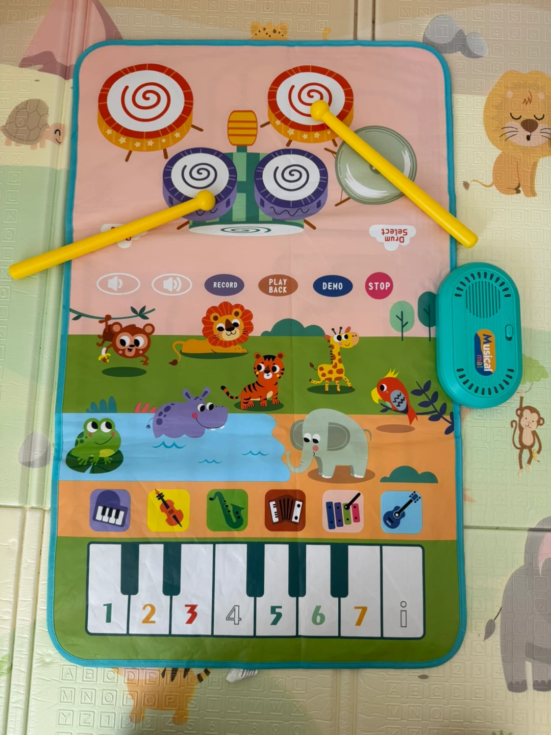 Musical Instrument Play Mat