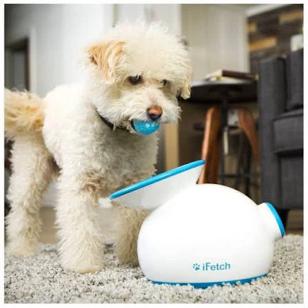 iFetch Automatic Ball Launcher for Dogs
