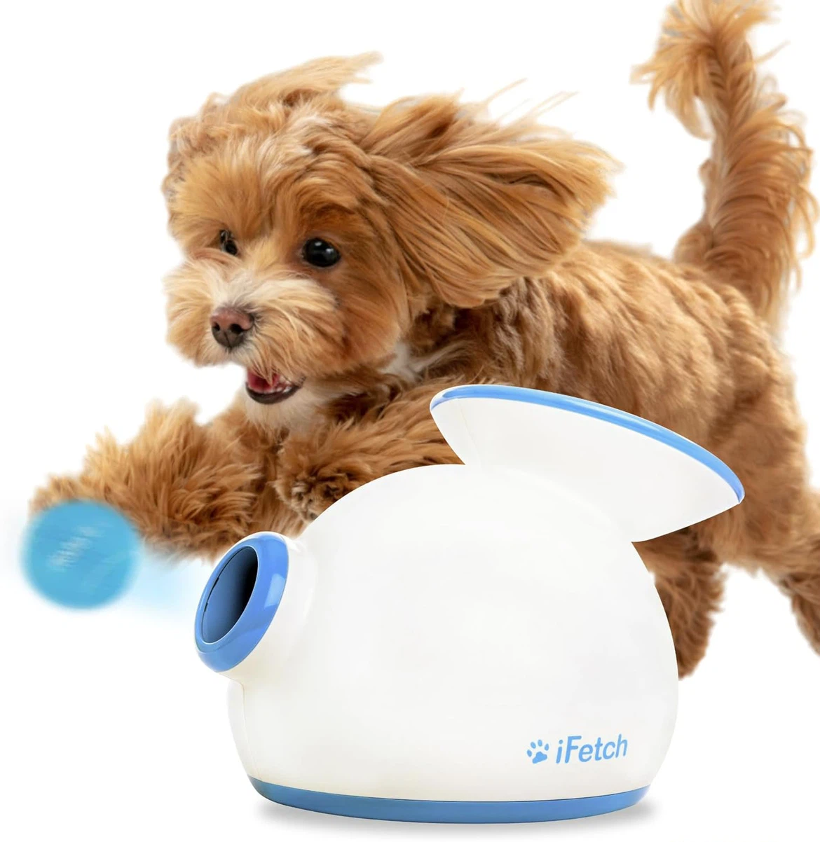 iFetch Automatic Ball Launcher for Dogs - photo 4
