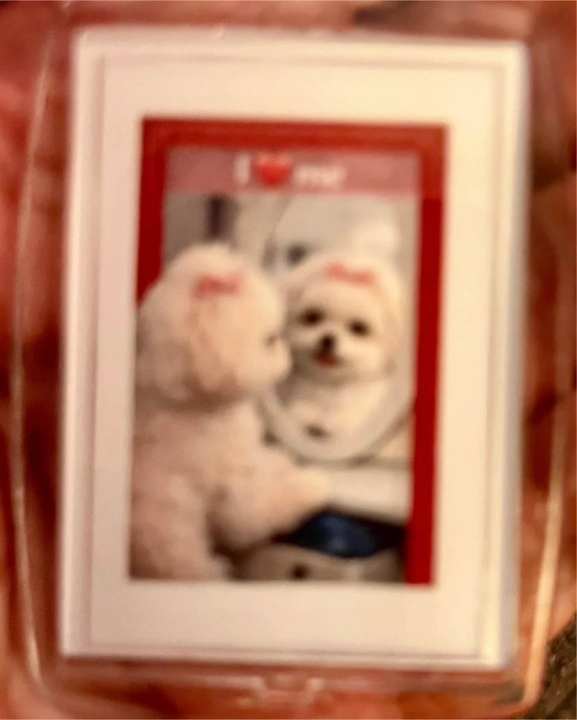 Key chain  Dog Themed - photo 3