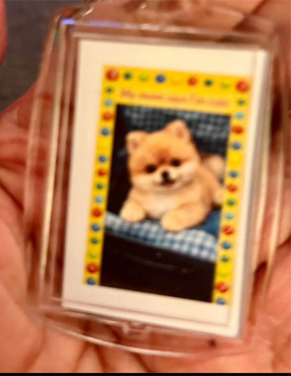 Key chain  Dog Themed - photo 5