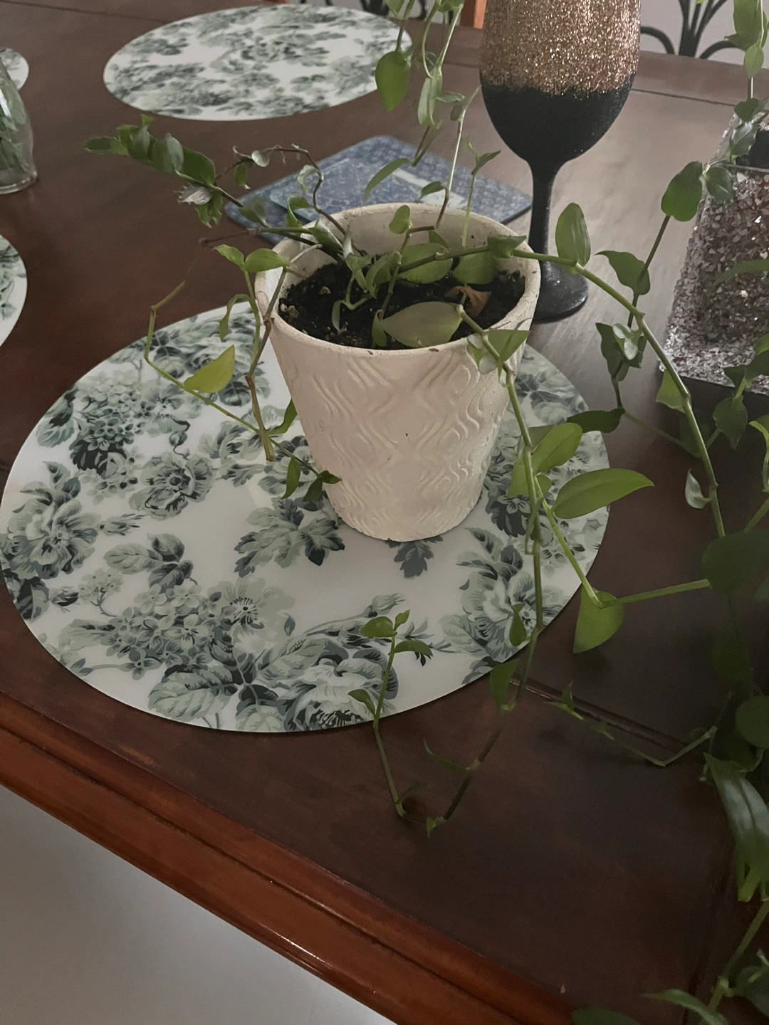 Houseplants in decorative pots $5 each - photo 3
