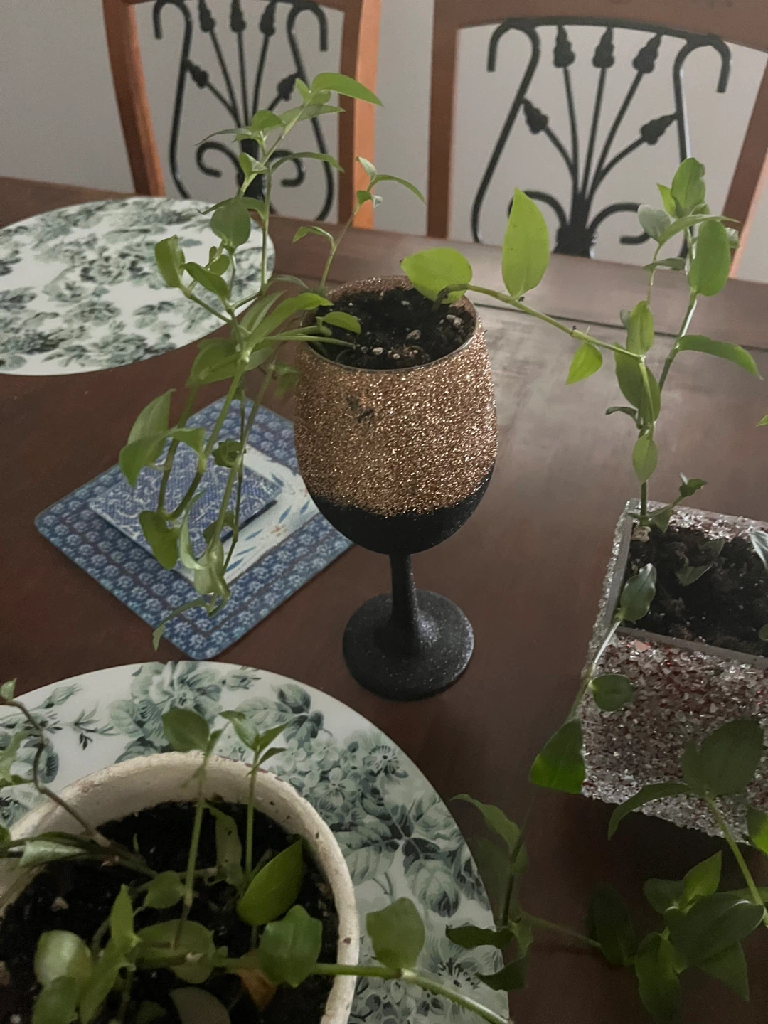 Houseplants in decorative pots $5 each - photo 4