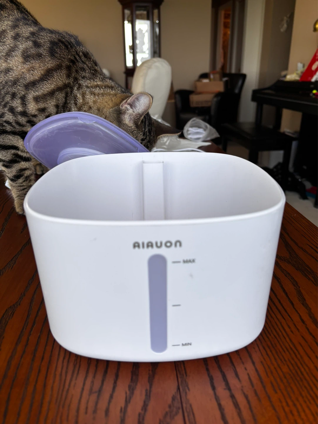 Cat fountain - photo 4