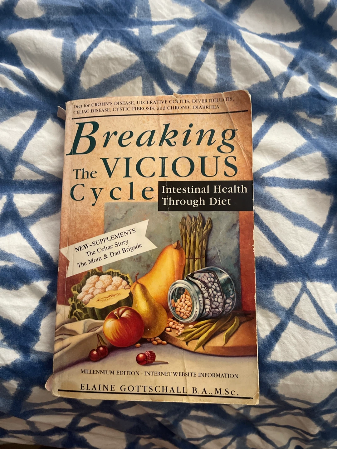 Breaking the Vicious Cycle: Intestinal Health Through Diet Book