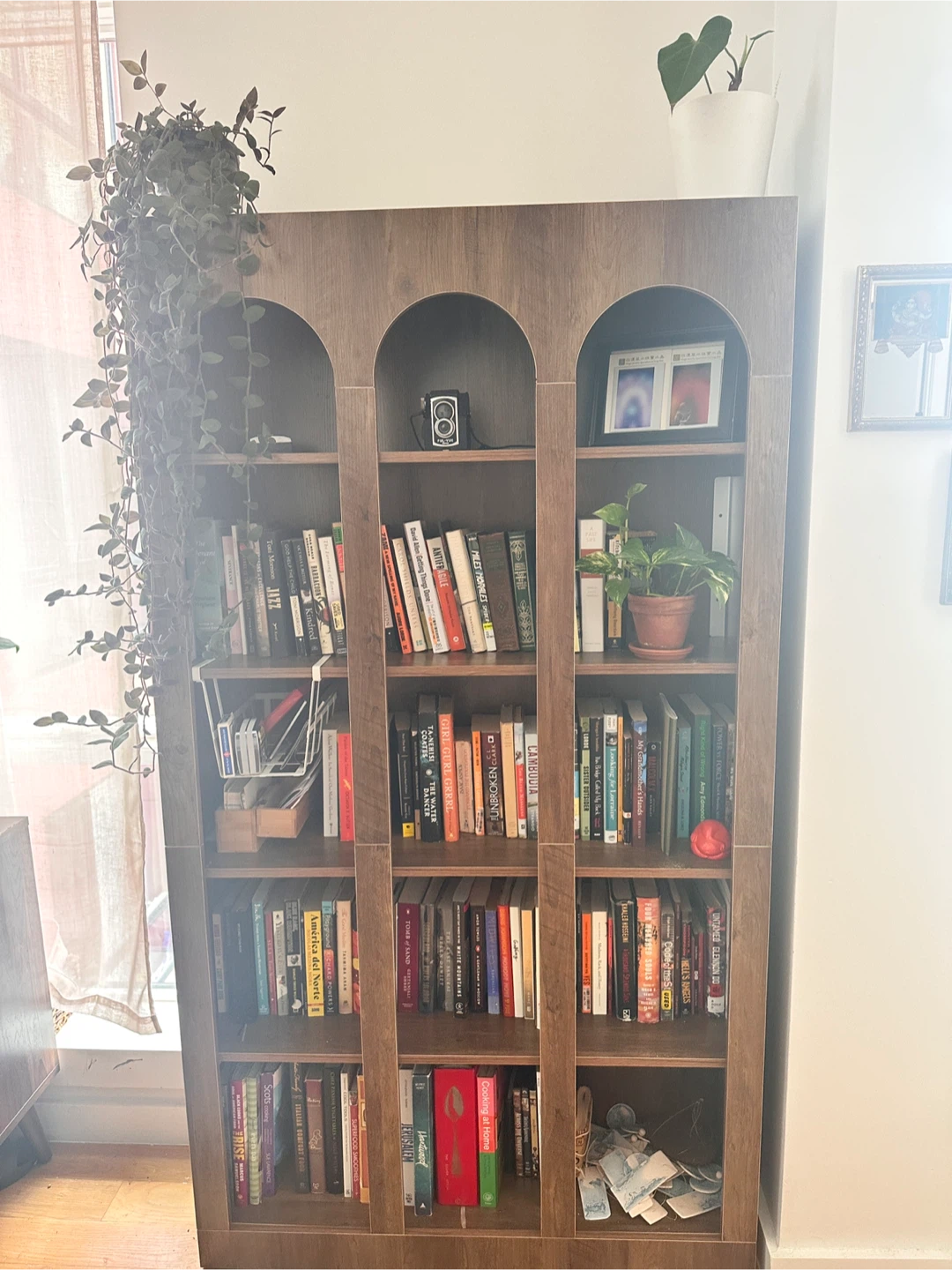 Tall Wooden Bookcase with Arched Top