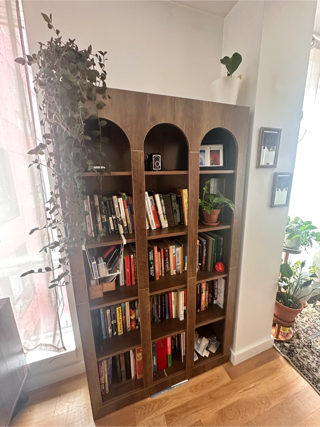 Tall Wooden Bookcase with Arched Top - photo 3