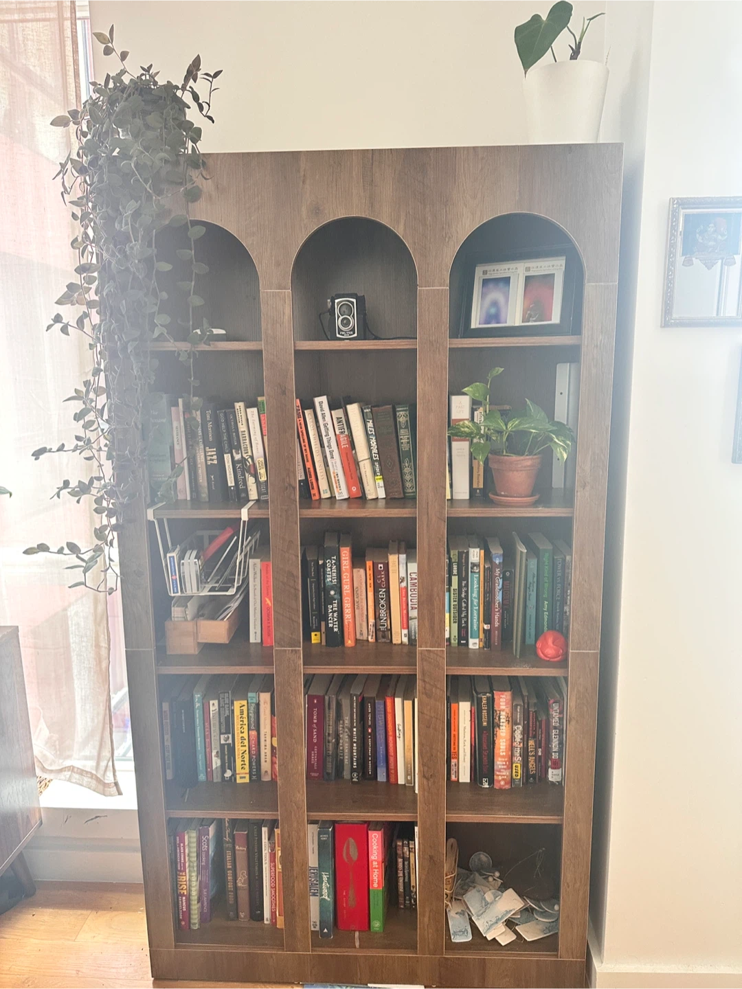 Tall Wooden Bookcase with Arched Top - photo 4