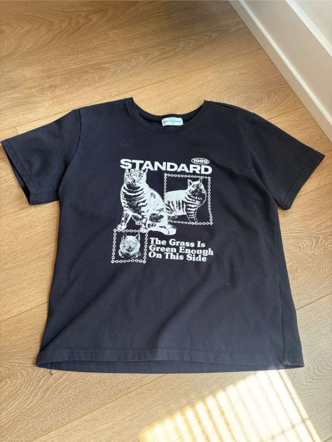 1989 STANDARD "The Grass Is Green Enough On This Side" T-Shirt