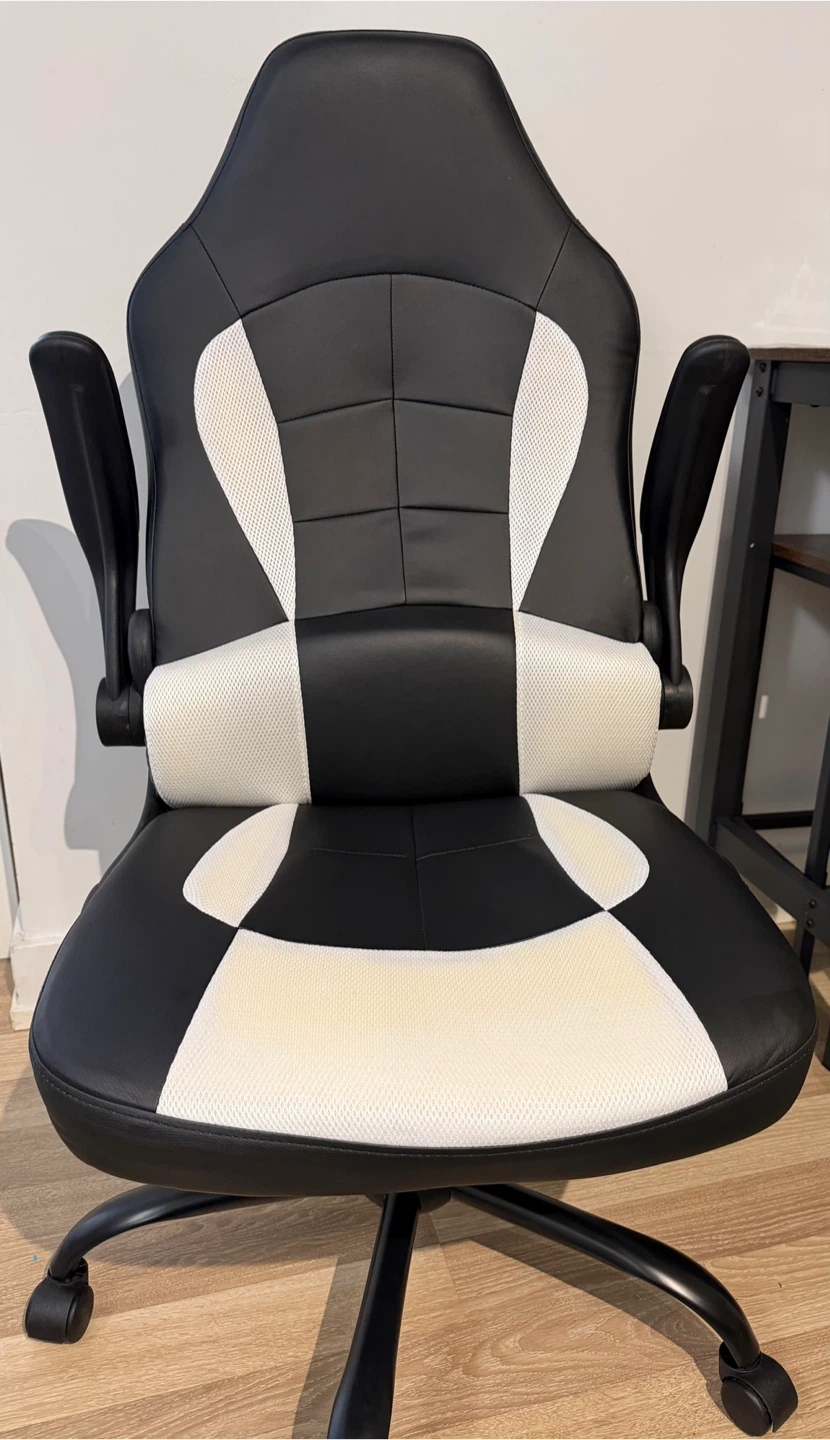 Black and White Gaming Chair
